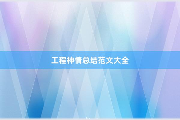 工程神情总结范文大全